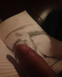 Cocks, ass and pussy photo