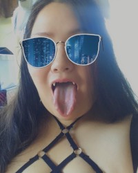 Cute Naughty Kitty photo