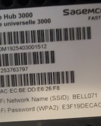 Molly-Lou Sissy Pics October 2022 photo