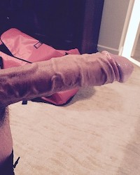 🍆🍆🍆🍆🍆 photo