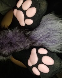 Naughty kitty photo