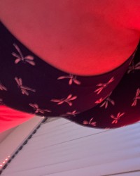 Fat ass white girl photo