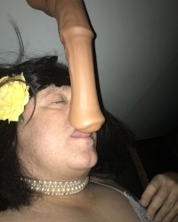 Horse Dildo photo