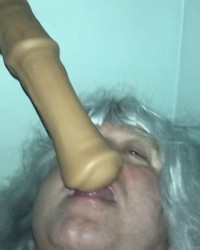 Horse Dildo photo