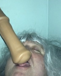 Horse Dildo photo
