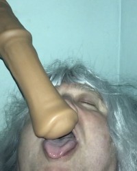Horse Dildo photo