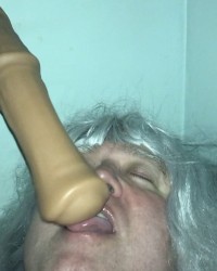 Horse Dildo photo