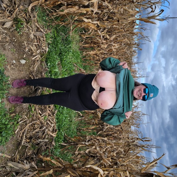 Corn maze