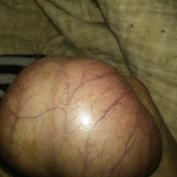 My cock and balls tell me how you want to see me handle them please baby i