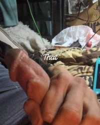Dicks out photo