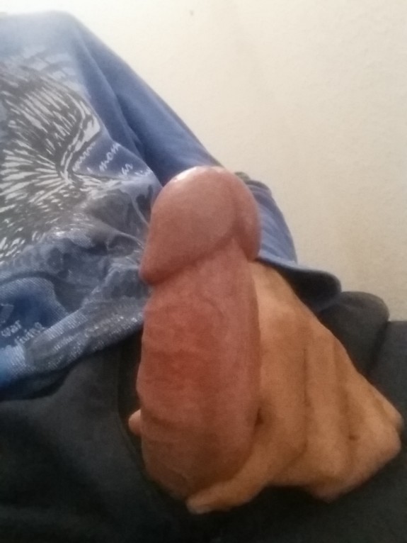 Mi pene