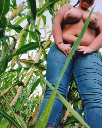 Down at the farm photo