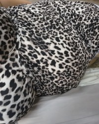 Thai BBW photo