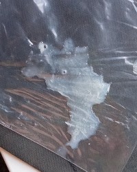 At your service photo