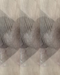 heb er nu 5 photo