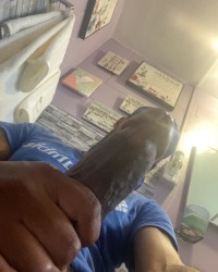 Thick Black Dick photo
