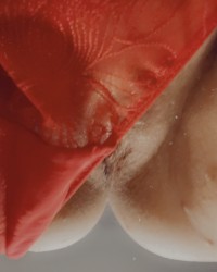 Juicy pussy photo