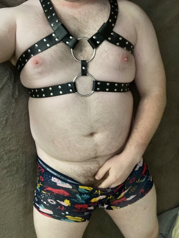 Harness 1