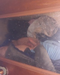 Lonely big cock wants attention photo