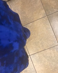 Basketball shorts photo