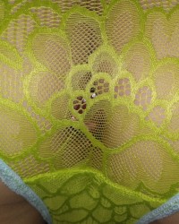 Green panties and pink heart butt plug photo