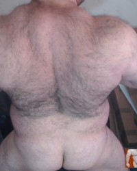 BullMuscleJoe's Hot Pictures! photo