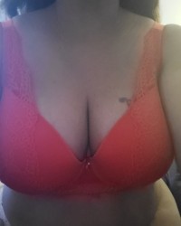 Tits n Pussy photo