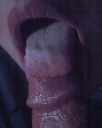 Best GIF Clips photo