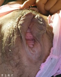 Which color do you like? photo