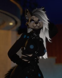 PoolSide Wolf photo