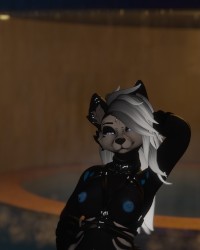 PoolSide Wolf photo
