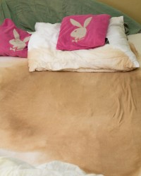 MY SEXY PISSING IN BED photo