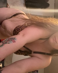 Cheetah photo