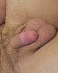 Pussy cats penis pics photo