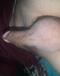 Natural hairy cock photo