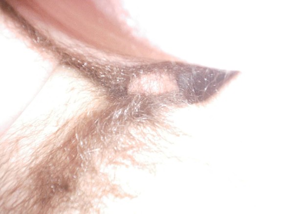 Peppermint's Christmas Fuck And Suck I Cam On Her Face And She Ate It All!!