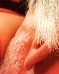 my husband eats and fucks my pussy photo