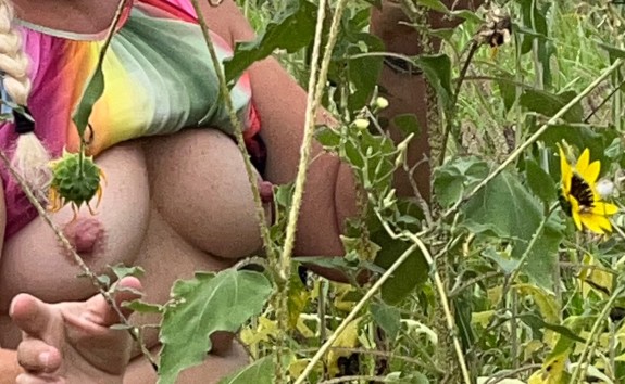 SUNFLOWER POWER- POWER IN THE NIPPLE- DRIP OLE TIT !