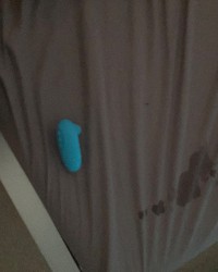 Quería hacerle un video pero La sucia no se dejaba photo