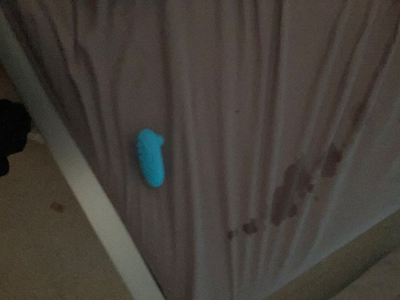 Quería hacerle un video pero La sucia no se dejaba