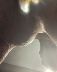 dick pics photo