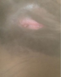 Pussy Pics photo