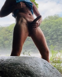 In the woods photo