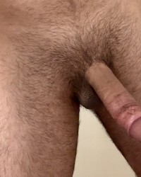 Dick Display photo