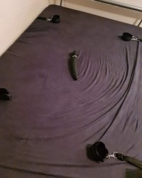 BDSM Gear photo