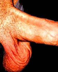 Making you curious? photo