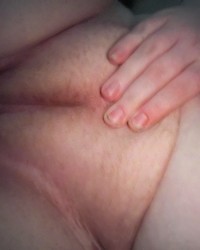 Pussy photo