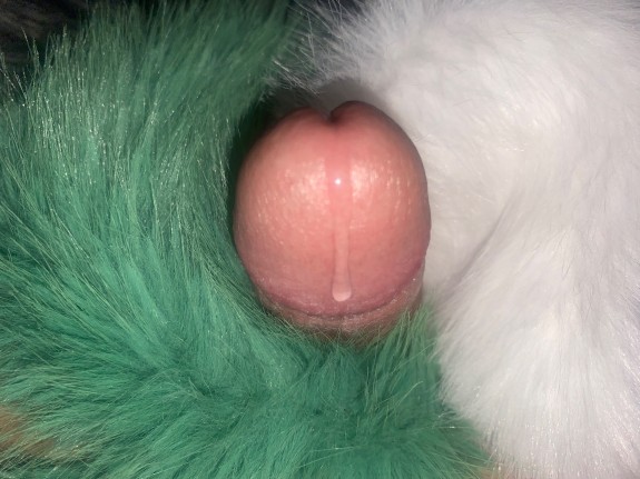 Cock and Fur