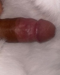 Cock and Fur photo