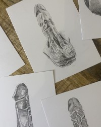Dick Drawings photo